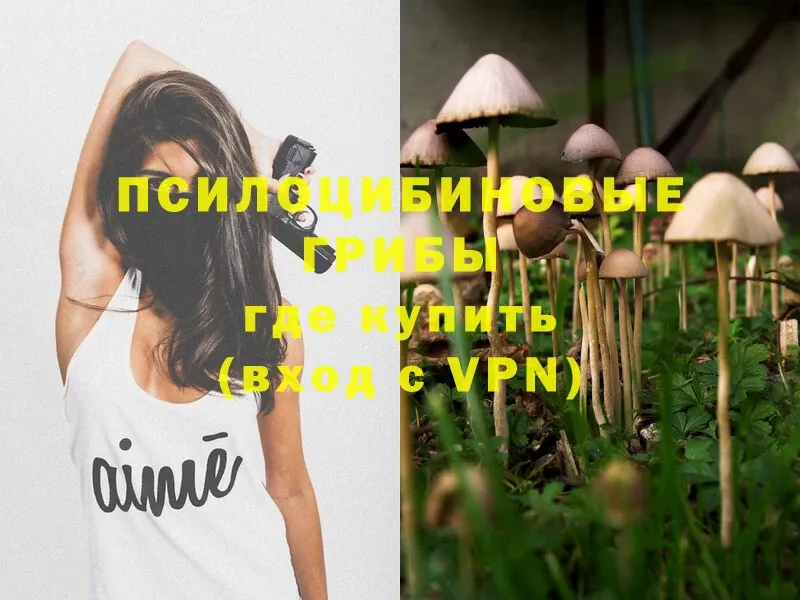 Галлюциногенные грибы Magic Shrooms  Рыбное 